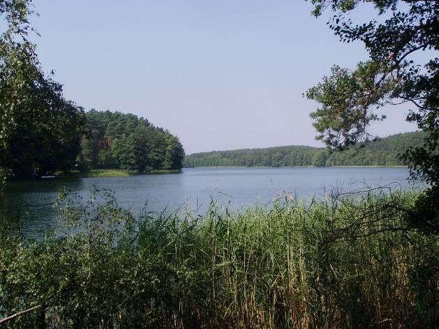Rys. 8. Jezioro Łubowo źródło: www.panoramio.com Rys. 9. Jezioro Gostomie źródło: wedkuje.