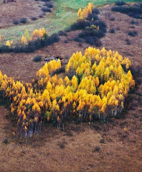 Obszar Natura