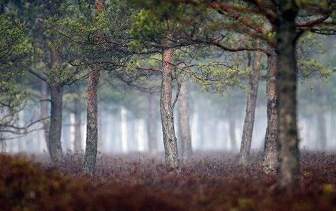 nej wiedzy wszystkich jego uczestników, uwzględnienie uwarunkowań społeczno-gospodarczych, a także współpracę na rzecz wspólnych celów.