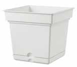 Most of our pots are provided with