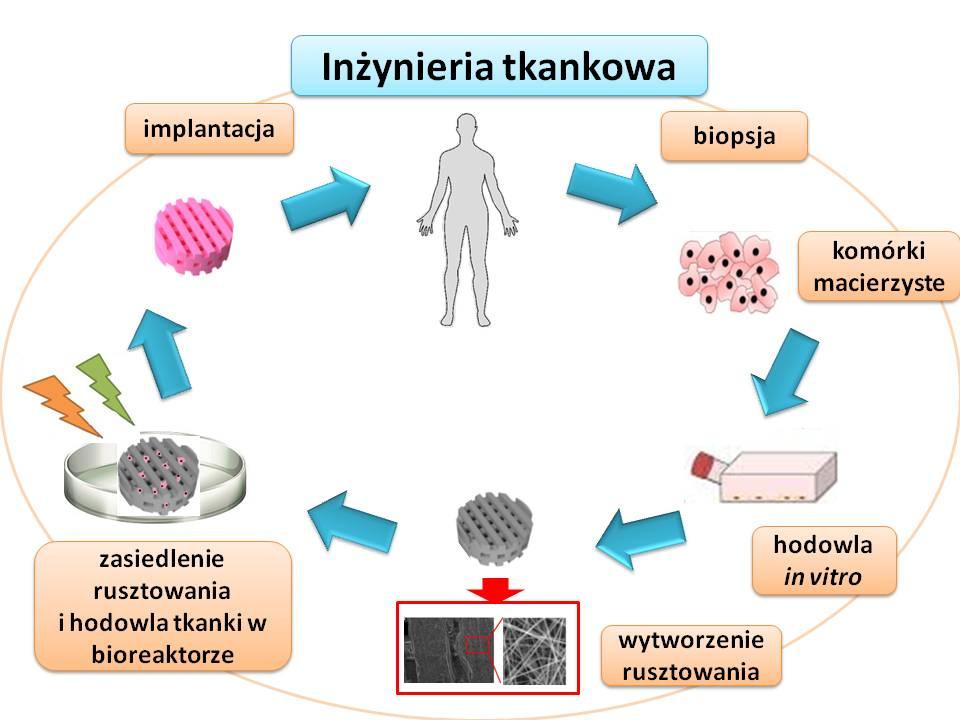 206 A. KUROWSKA, S. PATEREK, A. MATUSZEK, D. HOLISZ, I. RAJZER 1.