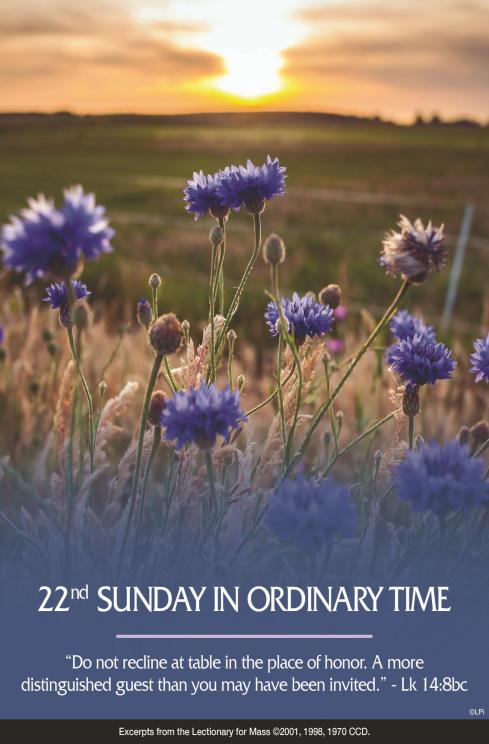 7:00pm Mass in Polish PARISH PHONE NUMBER (847) 827-9220 PARISH E-MAIL: stthomasbecket@stbmp.org PARISH STAFF Pastor: Rev. Chris Kulig ckulig@stbmp.org Pastor Emeritus: Rev.