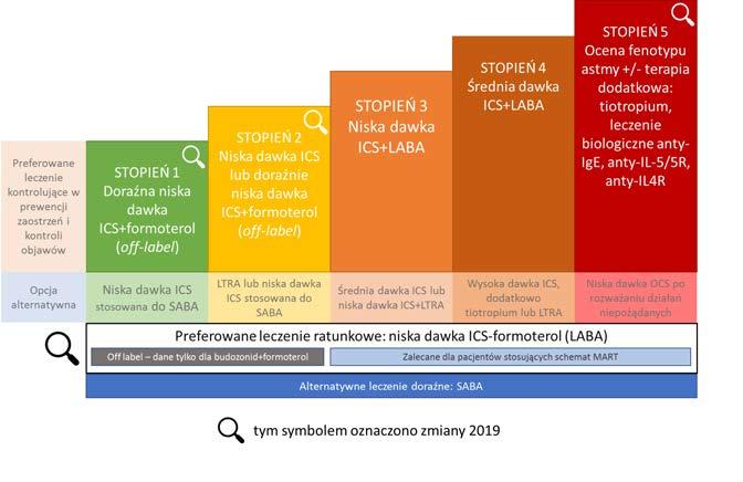 Likońska A i wsp. Zmiany w zaleceniach Światowej Inicjatywy na Rzecz Zwalczania Astmy.