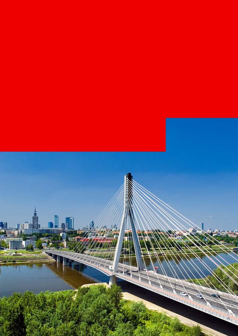 Raport Półroczny 2019 Grupy
