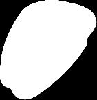 400g Garwolin