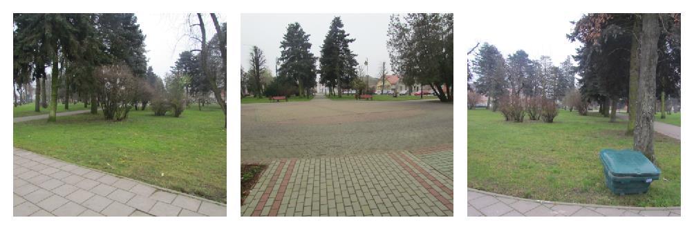 Rysunek 37. Park miejski Źródło: Urząd Miejski w Jedwabnem Skwer przy ulicy Pięknej został założony w latach sześćdziesiątych i siedemdziesiątych ubiegłego wieku.