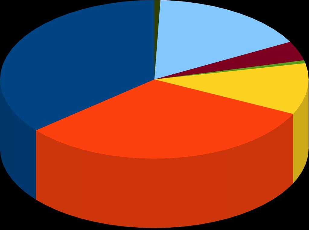 metal w ielkogabarytow e oraz zużyty sprzęt elektryczny i elektroniczny biodegradow alne niebezpieczne 32% Wykres 8. Zebrane odpady segregowane w 2009 roku.