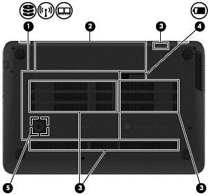 Spód Element Opis (1) Pokrywa serwisowa Zapewnia dostęp do wnęki dysku twardego, gniazda modułu LAN (WLAN) i gniazd modułów pamięci.