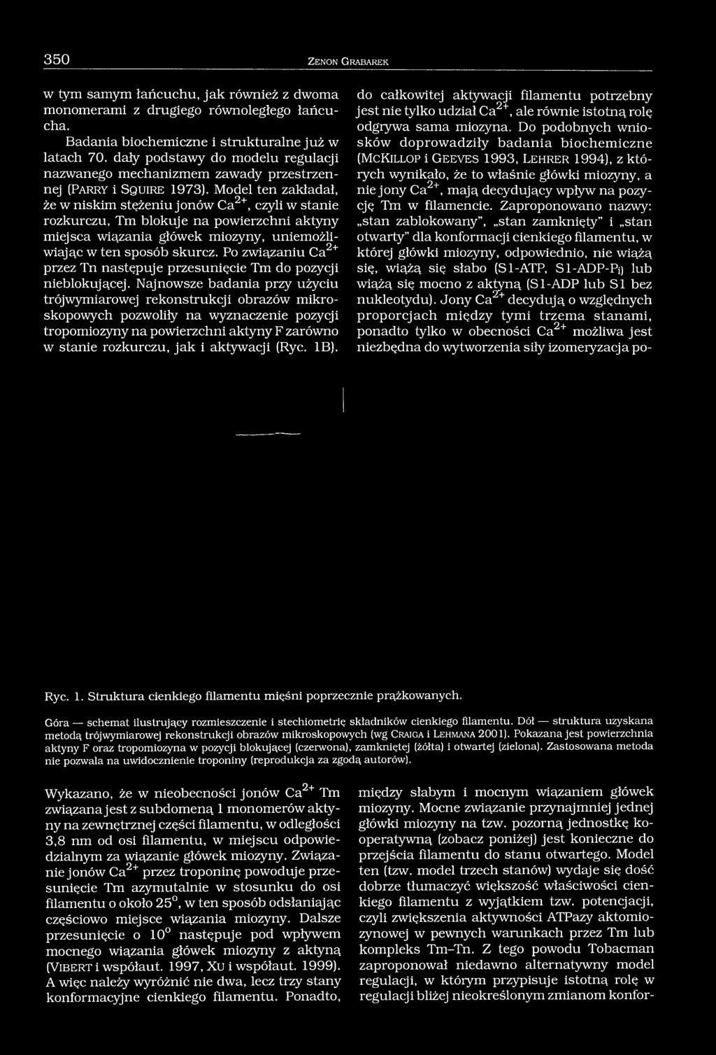 Model ten zakładał, że w niskim stężeniu jonów Ca2+, czyli w stanie rozkurczu, Tm blokuje na powierzchni aktyny miejsca wiązania główek miozyny, uniemożliwiając w ten sposób skurcz.