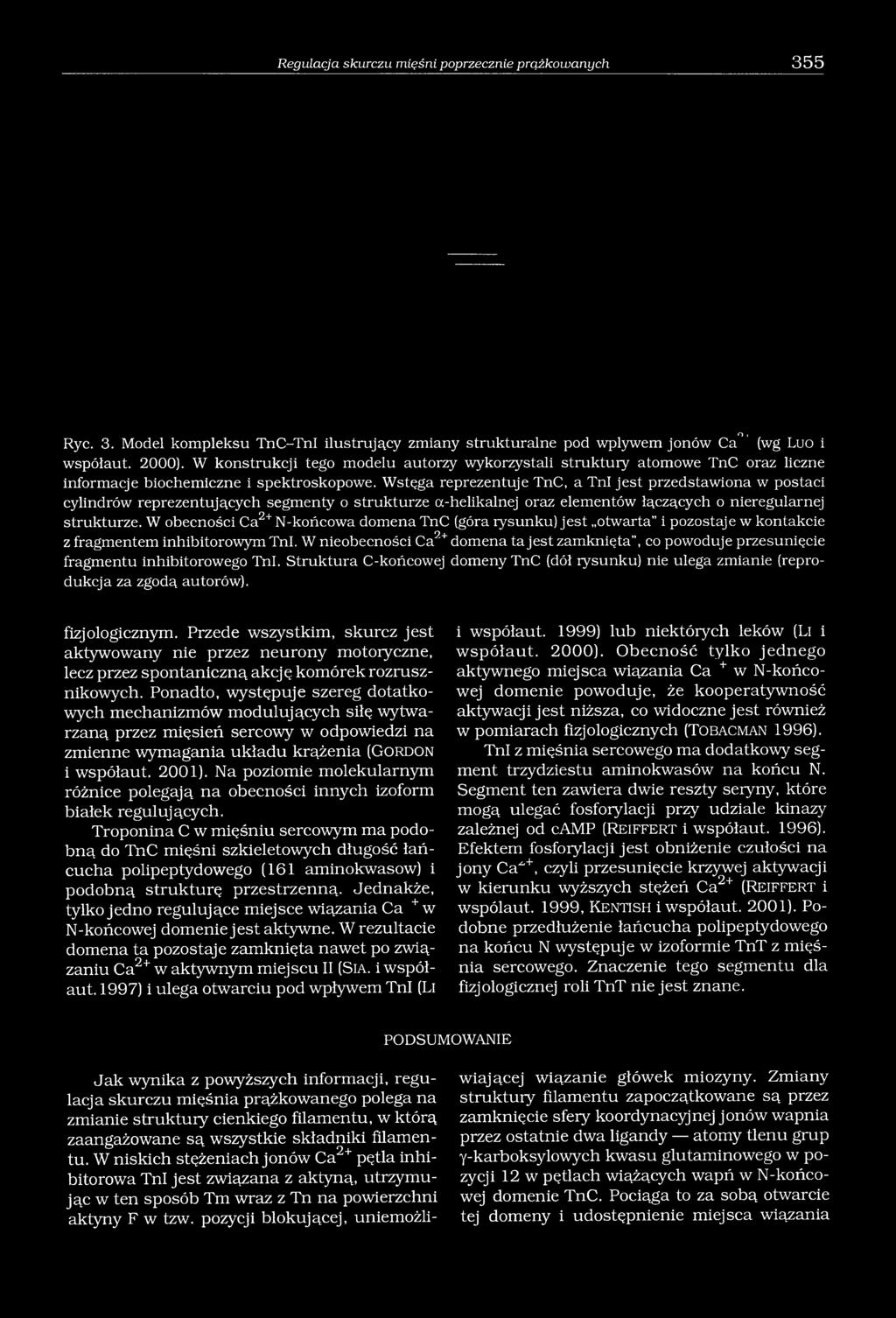 Wstęga reprezentuje TnC, a TnI jest przedstawiona w postaci cylindrów reprezentujących segmenty o strukturze a-helikalnej oraz elementów łączących o nieregularnej strukturze.