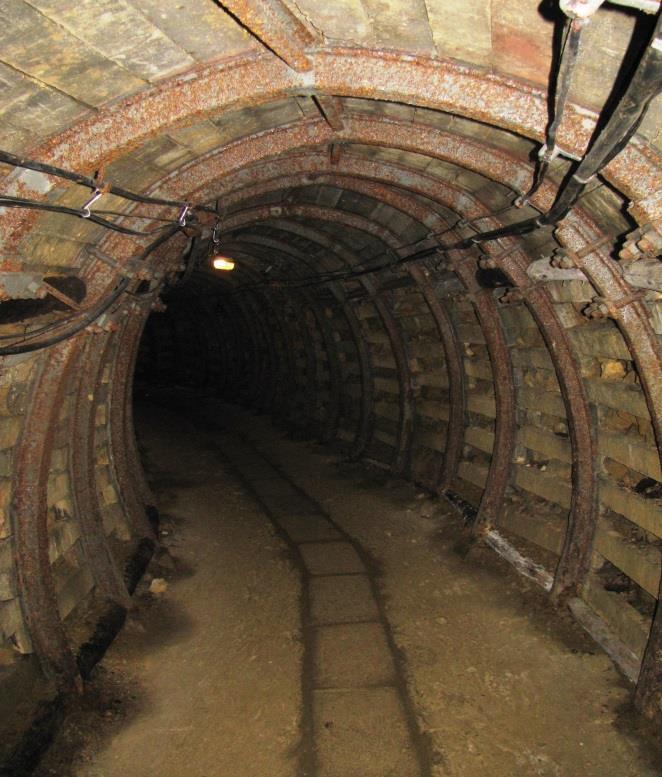 wyrobiska są miejscem zimowania kilkunastu tysięcy nietoperzy (10 gatunków). Ponadto w podziemiach tarnogórskich żyją m.in. dżdżownice, pajęczaki, owady.