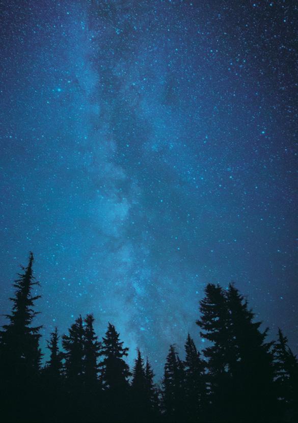 PLANETARIUM MOBILNE NIEBO