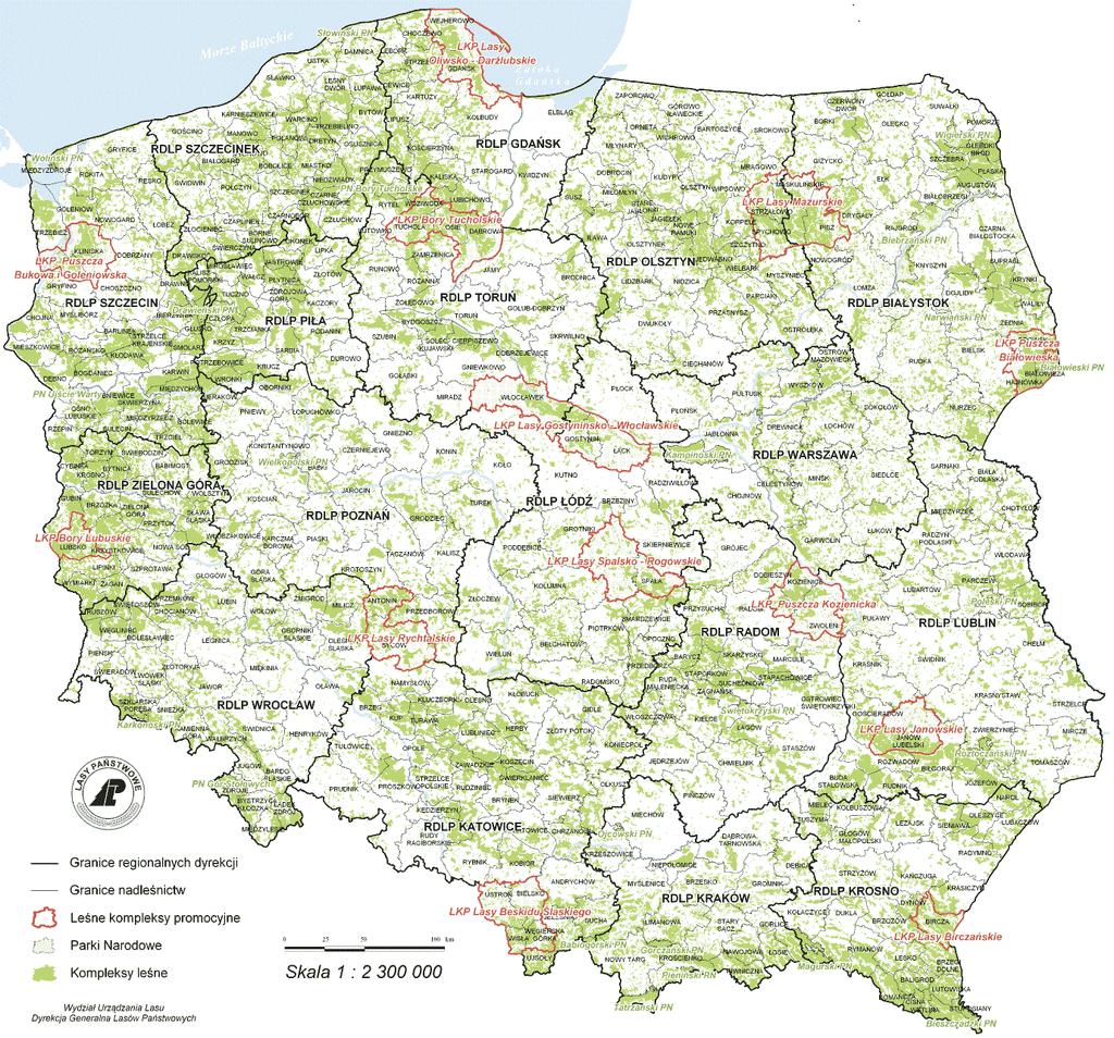Specyfika leśnictwa Wielkoobszarowość Powierzchnia: 9 242 tys.