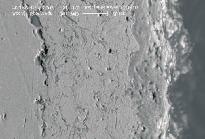 1063 inclusions in Ni(Al) layer of 70 µm width and good quality followed by smooth cross section of Cr(Ni) transition layer and the Fe-Al coating (on the right) of