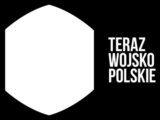 Sponsor: Partnerzy: