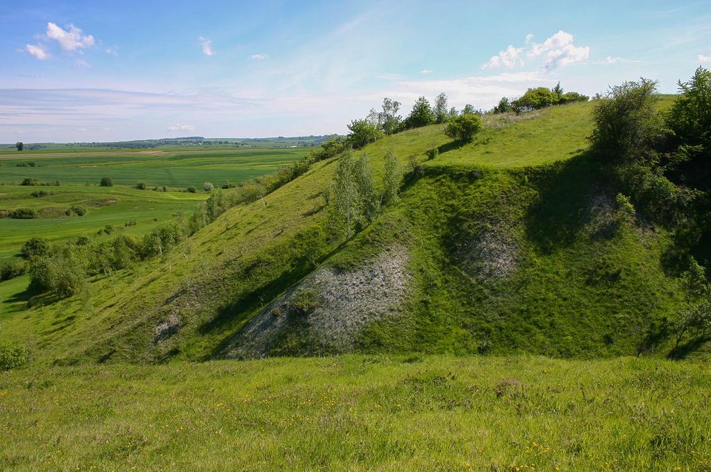 Ryc. 2. Typowy krajobraz Wyżyny Miechowskiej.