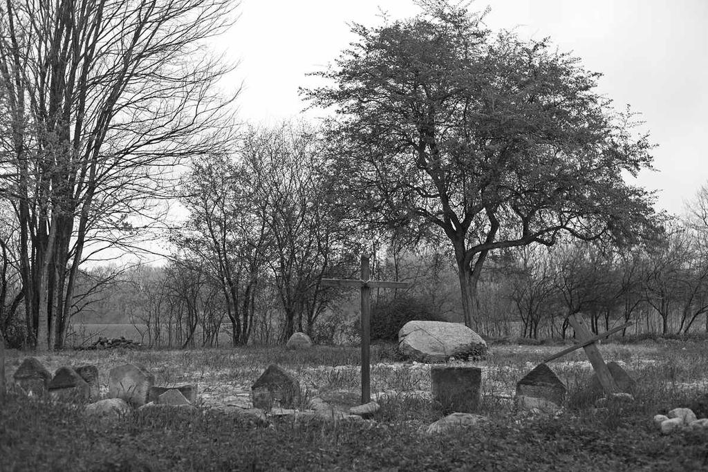 Cmentarz w Maryninie Paweł Komosa Na szczycie skarpy wiślanej, nieopodal dawnego folwarku zwanego Maryninem, znajduje się nietypowy cmentarz zagubiony wśród wysokich traw.