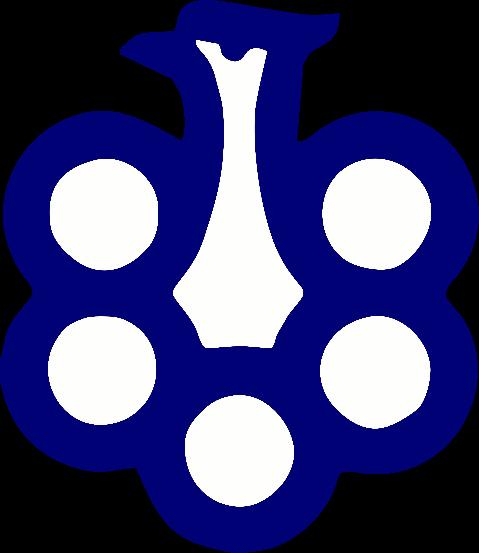 2019 ANALIZA WYSTĘPU REPREZENTACJI