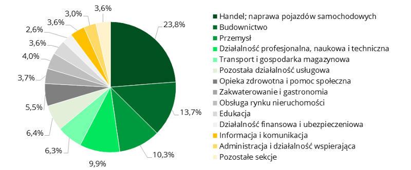 W Małopolsce największy wzrost ilości rejestracji odnotowany został w sekcjach: Budownictwo, Działalność profesjonalna, naukowa i techniczna oraz Informacja i komunikacja. W 2016 r.