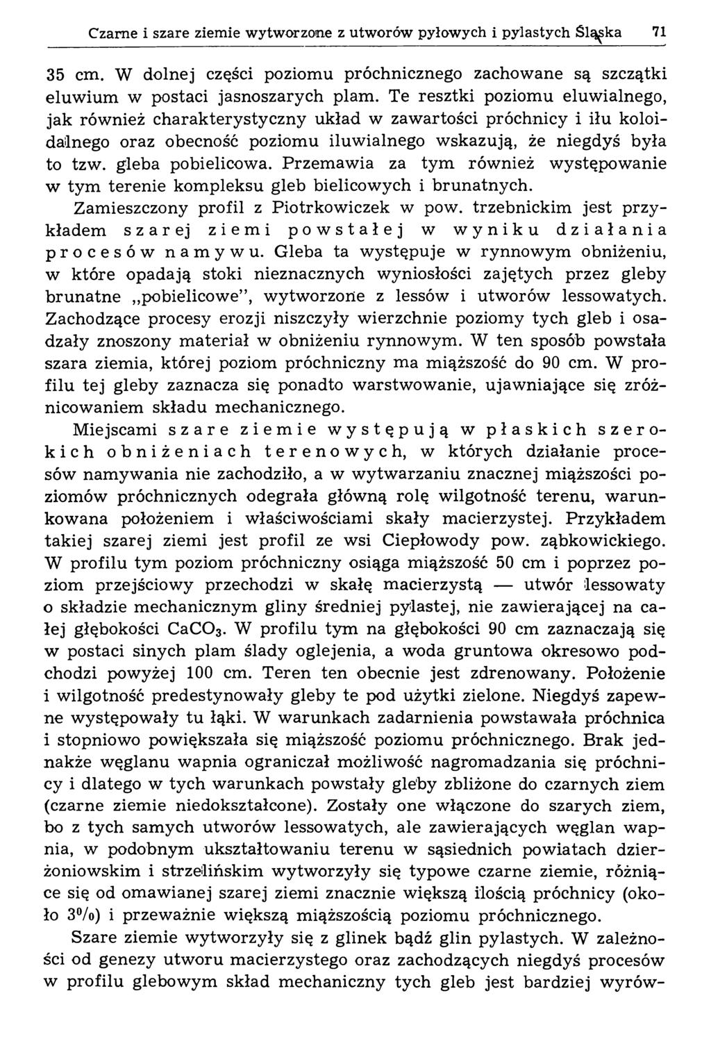 Czarne i szare ziemie wytworzone z utworów pyłowych i pylastych Śląska 71 35 cm. W dolnej części poziomu próchnicznego zachowane są szczątki eluw ium w postaci jasnoszarych plam.