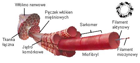 INTERNAL