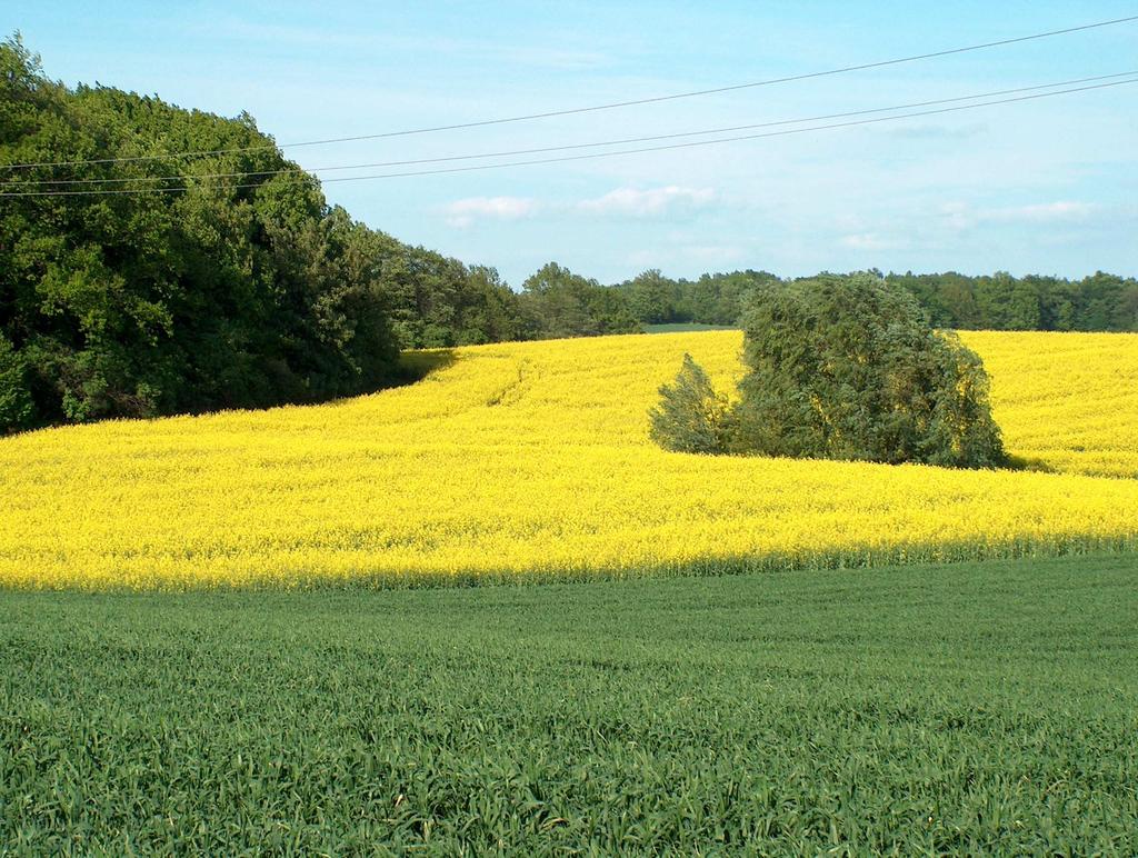 WOJEWÓDZTWA