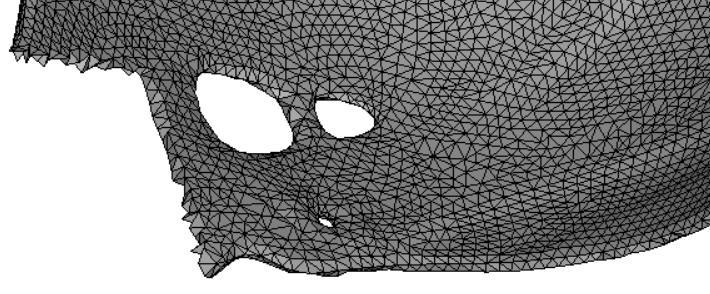 As the simulation is performed with a complex (irregularities of surface) 3D model it was decided to use this mesh due to