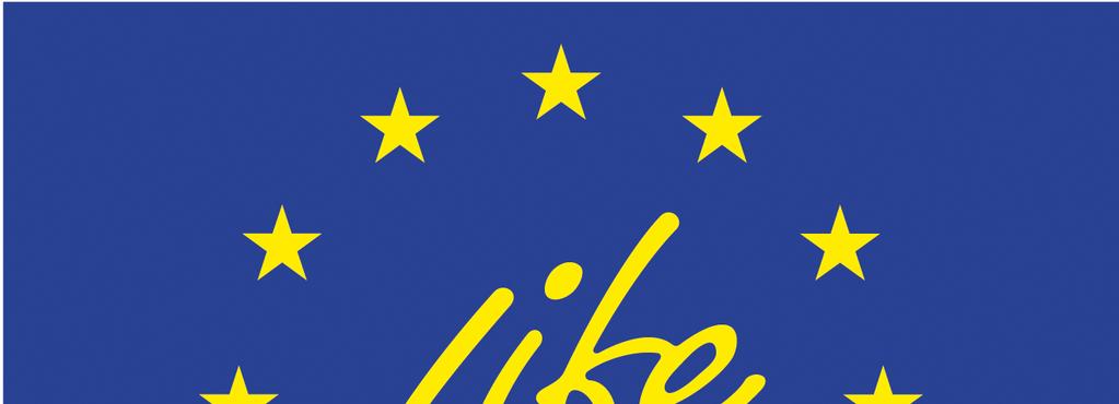 udziałem instrumentu