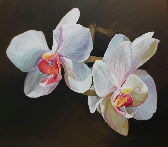 135. Dorota Szewczyk(ur.