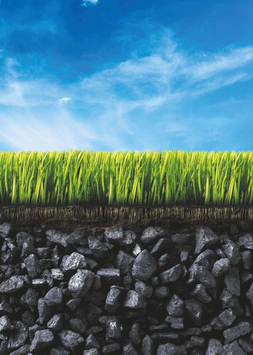 CENTRUM CZYSTYCH TECHNOLOGII WĘGLOWYCH CLEAN COAL