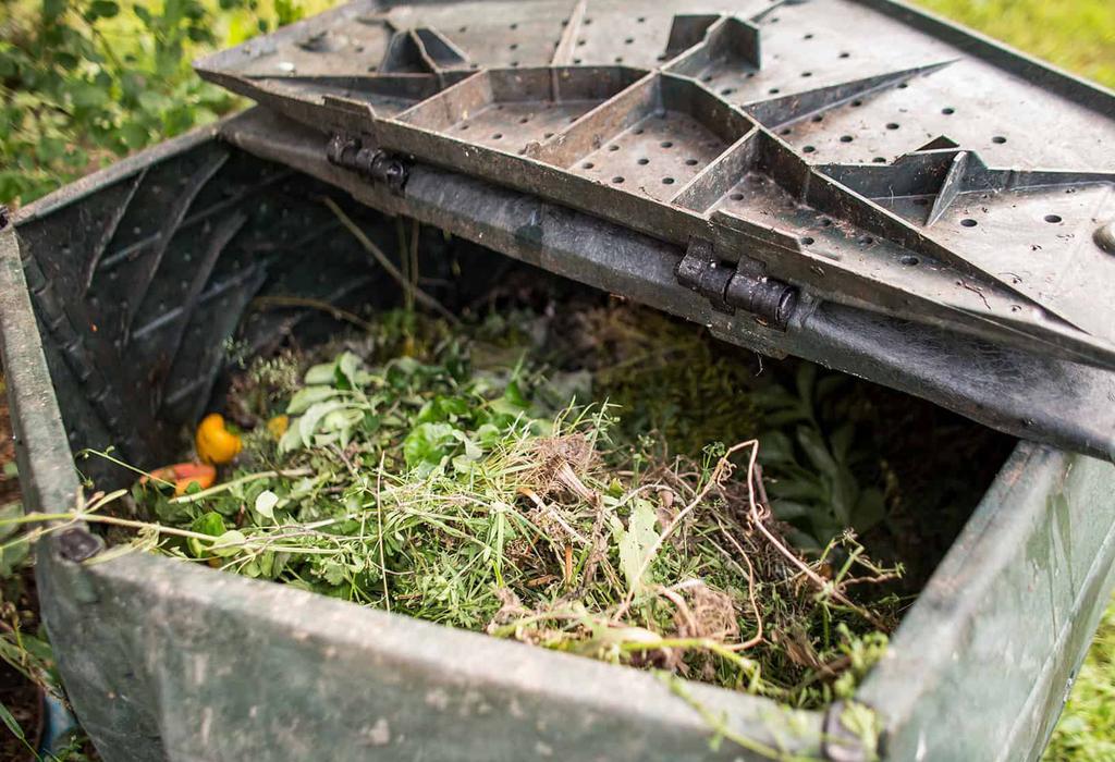 KOMPOSTOWANIE KOMPOSTUJEMY ściętą trawę i liście drobne odpady ogrodowe połamane gałęzie drzew kwiaty doniczkowe (wraz z ziemią doniczkową) obierki i resztki owoców oraz warzyw fusy po kawie,