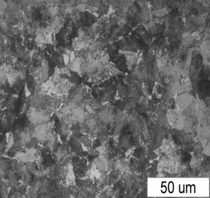 Walcowanie 750 C a) mikroskop świelny / optical microscope b) mikroskop skaningowy / scanning microscope Walcowanie 900 C a) mikroskop świelny /