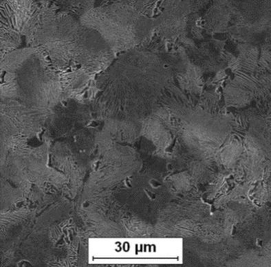 Mikrostruktura stali C70D po walcowaniu w temperaturze: 75