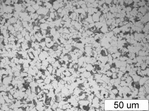 The role of heat-plastic treatment in shaping the structure and mechanical properties... 207 c) d) Rys. 9.