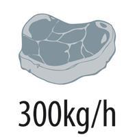 przycisk: włącz/wyłącz wydajność: do 300 /h pojemnik na mięso Ø sitka - 8 cm obudowa napędu - polerowane aluminium TE - 22D: system Unger - szarpak, nóż dwustronny, sitko z