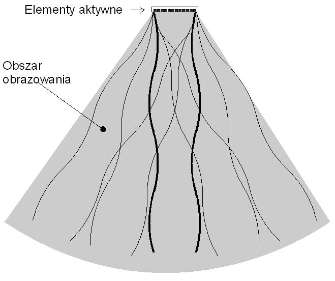Sonda liniowa sterowana fazowo Skanowanie odbywa się poprzez elektroniczne sterowanie (zmianę opóźnień pobudzeń); pobudzane są wszystkie