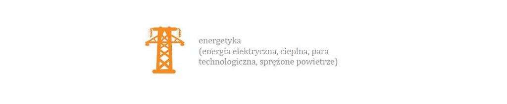 18 INNA DZIAŁALNOŚĆ CHEMICZNA W ramach segmentu Pozostała działalność chemiczna produkowane są inne niż wymienione powyżej produkty chemiczne.