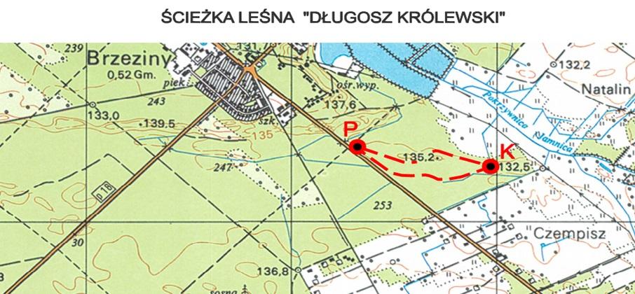 Długosz królewski jest okazałą paprocią, roślina dorasta do 2 m wysokości, kłącza rozgałęzione, liście z długimi ogonkami, jesienią usychają.