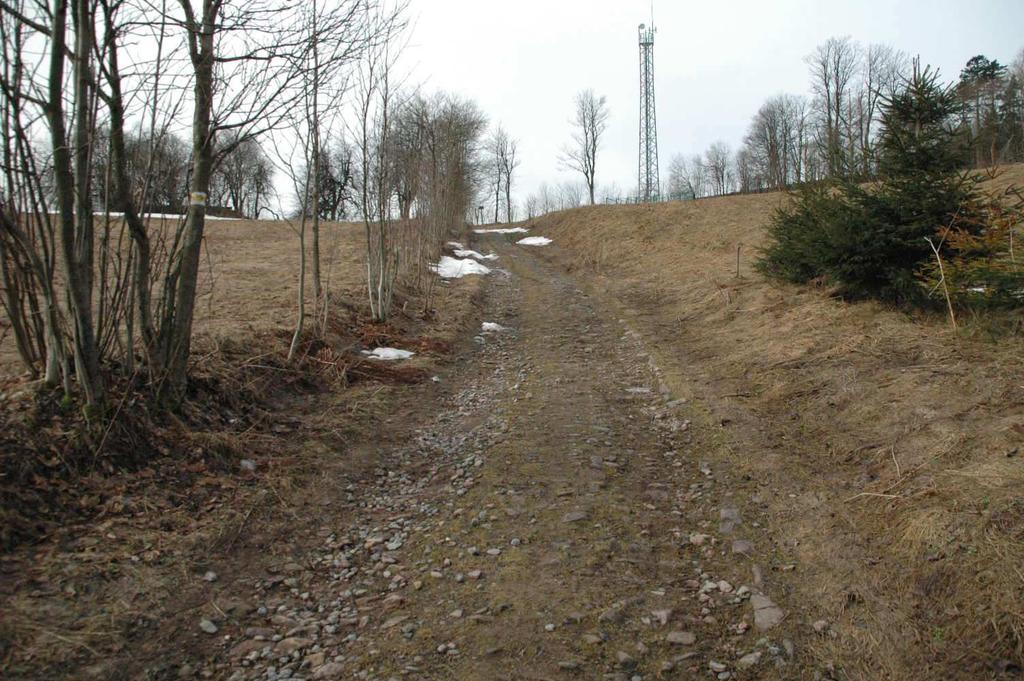 Rowy wymagają oczyszczenia i pogłębienia. Zjazdy na przyległe grunty wymagają odbudowy.