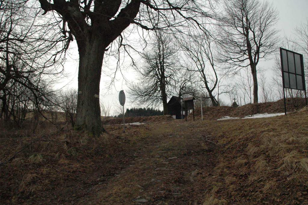 Zdj. nr 5 i 6 Końcowa część drogi km 0+207. 5. ZAŁOśENIA PROJEKTOWE Projekt remontu obejmuje odcinek długości 207,09 m.