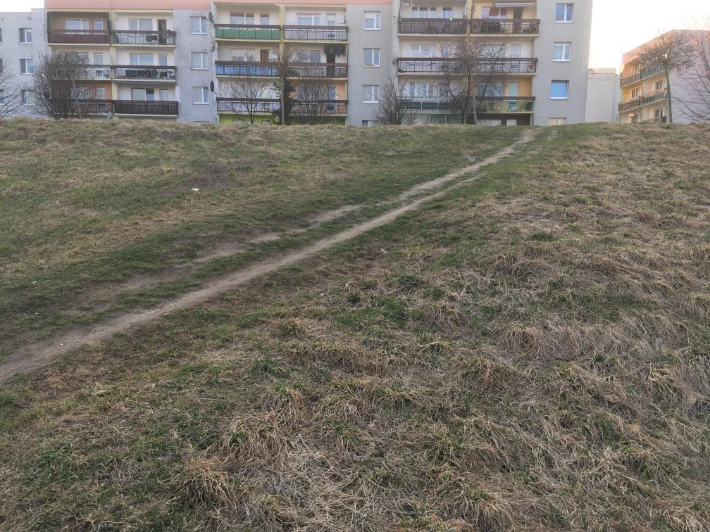 Teren jest mocno pofalowany różnice wynoszą miejscami nawet do 3 m. Fot.