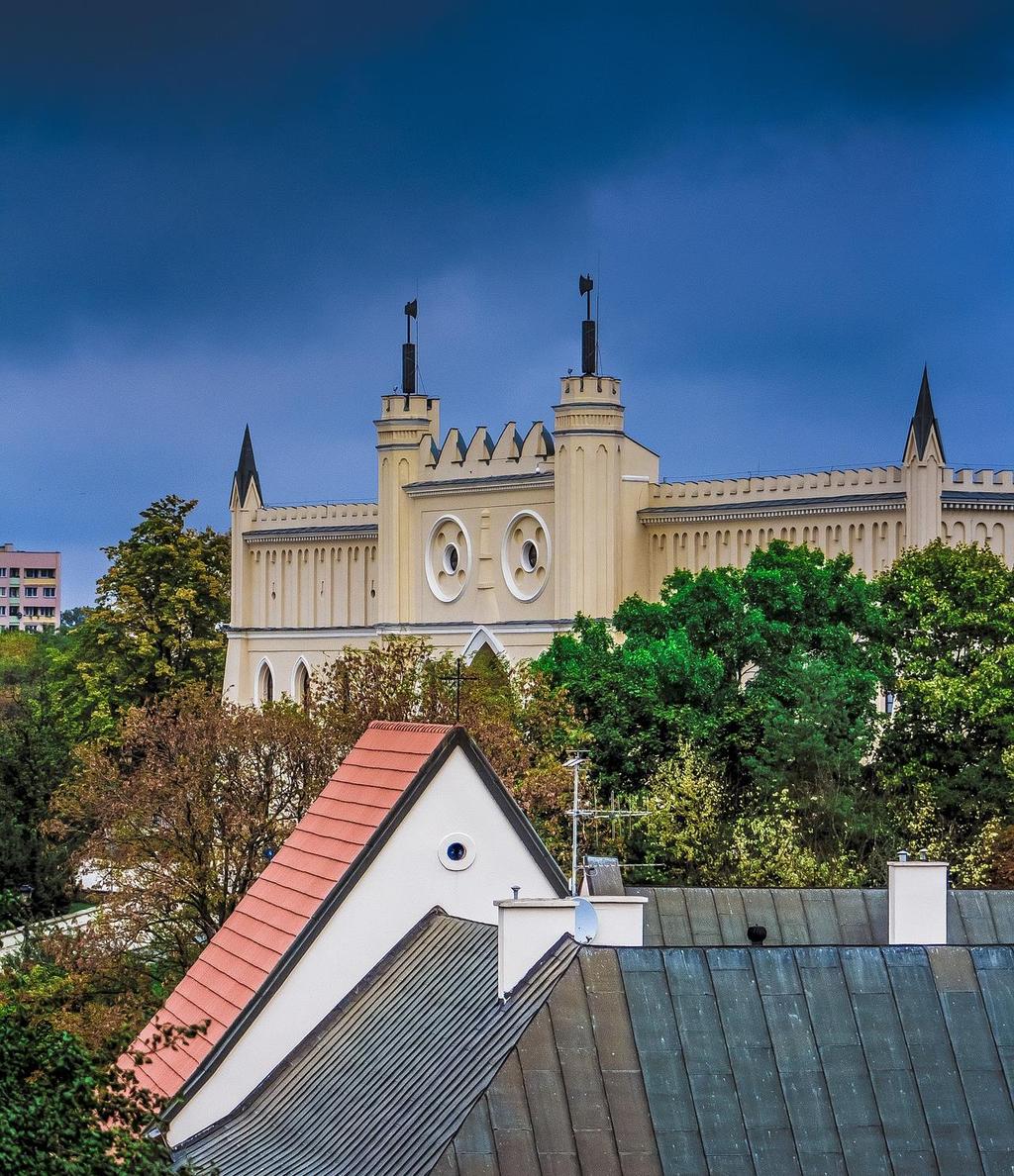 Lublin na tle