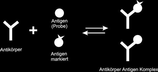 wiązania antyciał z antygenem (oznaczanym) i antygenem oznakowanym