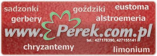 Fot. 10. Sekcja do fertygacji ze zbiornikami na pożywkę i urządzeniami umożliwiającymi recykling do skomputeryzowanego sporządzania pożywek nawozowych (fot.