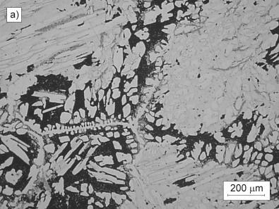 Rys. 5. Dendryt austenitu w granicy pierwotnego ziarna krzepnięcia, wytopy 3-0,09% C Fig. 5. Austenite dendrite in primary grain boundary area, heat no 3 0,09% C Rys. 6.