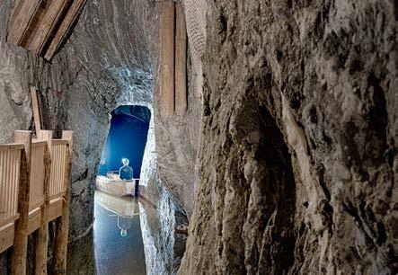 226 m pod ziemią pomiędzy solnymi górami, znajduje się zalany solanką korytarz o długości 120 m Komora 81, to właśnie tam