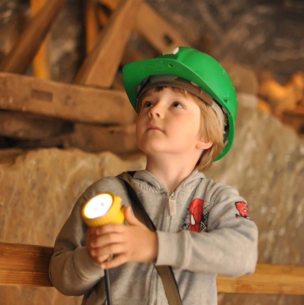 Pobyty edukacyjne Pobyty edukacyjne Zagadkowa kopalnia (Program dla zerówki i klas I-III) Program tego pobytu edukacyjnego został napisany tak, aby w możliwie najprostszy i najciekawszy