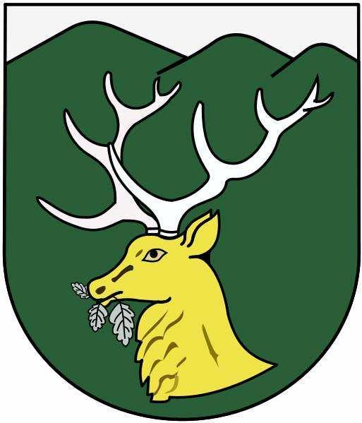 III. Wykaz głównych działań statutowych 3.1 Projekty 3.1.1 Własne Stowarzyszenie POLARIS OPP złożyło w 2016 roku 2 wnioski na projekty dotacyjne (sygn. wew.