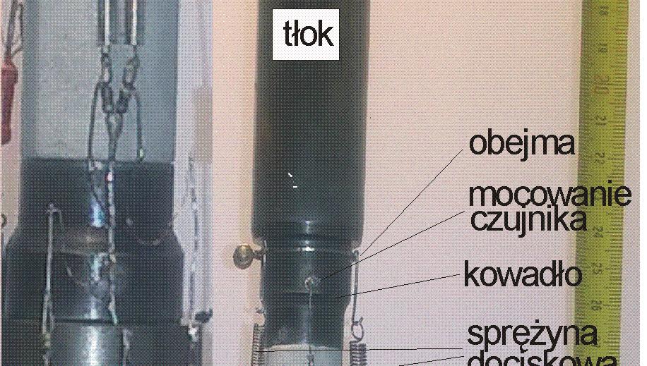 skalnej w komorze