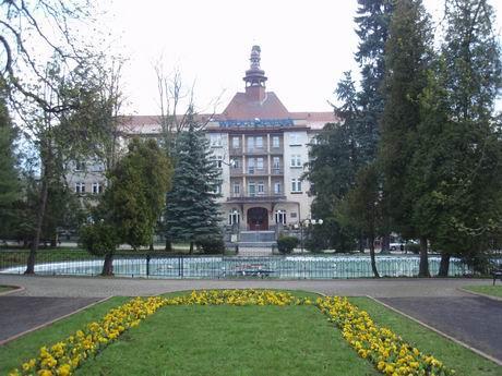Poszpitalny wczesny etap